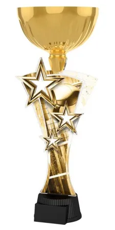 Akrylátová trofej ASTARNCUPM10 Výška cm: 32