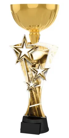 Akrylátová trofej ASTARNCUPM10 Výška cm: 32