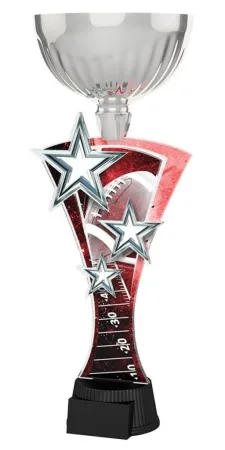 Akrylátová trofej ASTARRCUPM09 | Americký fotbal Výška cm: 32