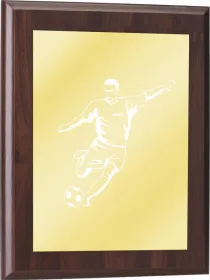 Plaketa PLP0001 Výška cm: 20, Šířka cm: 15