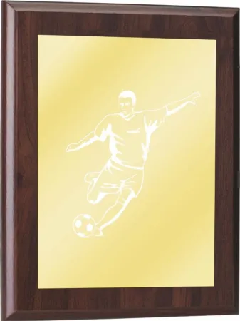 Plaketa PLP0001 Výška cm: 38, Šířka cm: 30