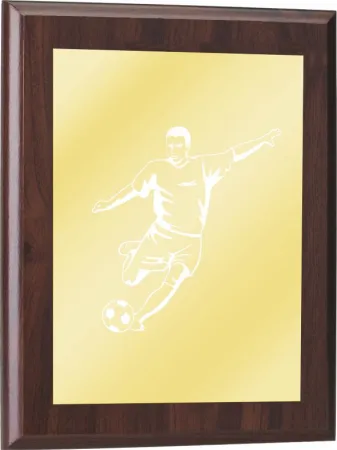 Plaketa PLP0001 Výška cm: 38, Šířka cm: 30