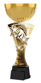 Akrylátová trofej ASTARNCUPMINIM15 | Bojová umění Výška cm: 25