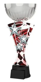 Akrylátová trofej ASTARRCUPMINIM05 | Motorsport Výška cm: 27