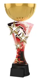 Akrylátová trofej ASTARCUPMINIM15 | Bojová umění Výška cm: 21,5