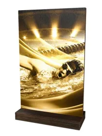 Dřevěná plaketa WPLAR01M11 | Plavání Výška cm: 25