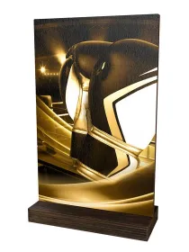 Dřevěná plaketa WPLAR01M14 | Bojová umění Výška cm: 25