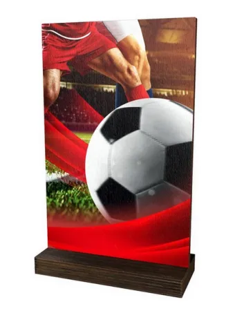 Dřevěná plaketa WPLA01M01 | Fotbal Výška cm: 27