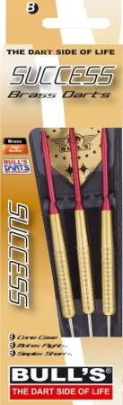 Bull's Šipky Steel Success - 20g